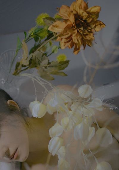 free男子游泳部第一季免费动漫_免VIP免费在线观看